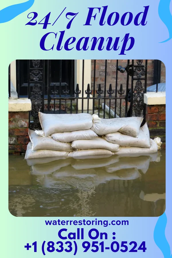 24/7 Flood Cleanup in Country Lake Estates, NJ