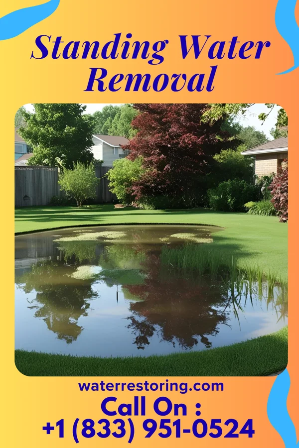Standing Water Removal in Country Lake Estates, NJ